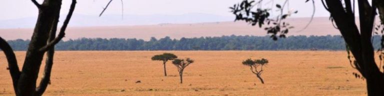 Masai Mara Masai Mara