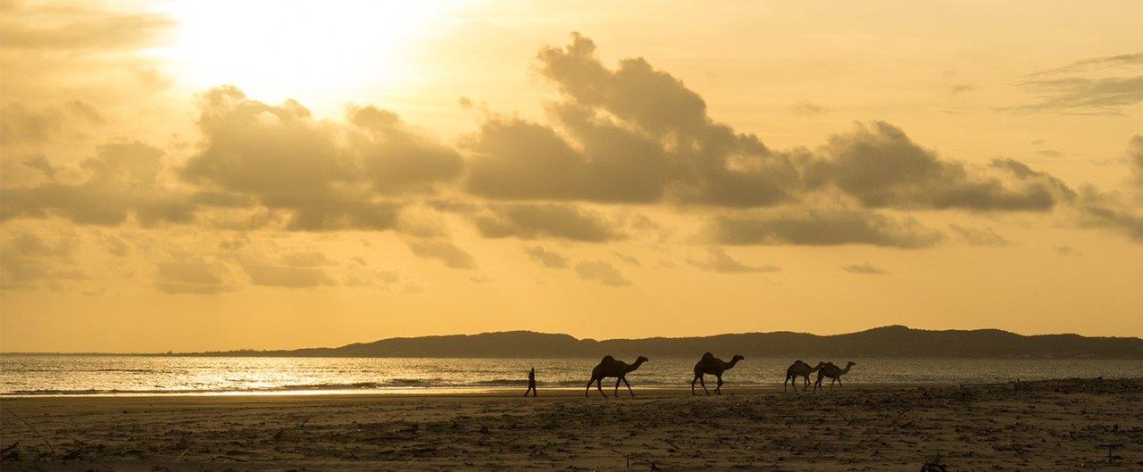 Lamu Lamu